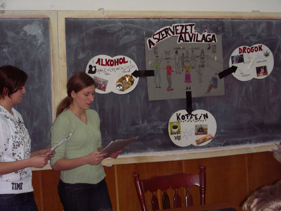 A szervezet alvilága