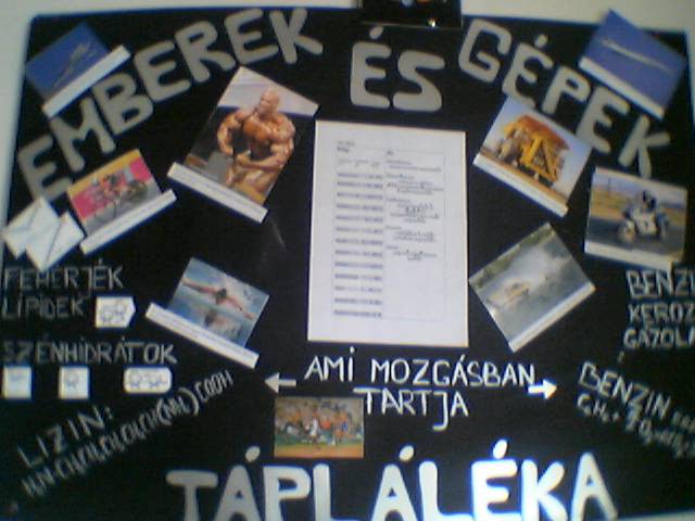 Ember és gép