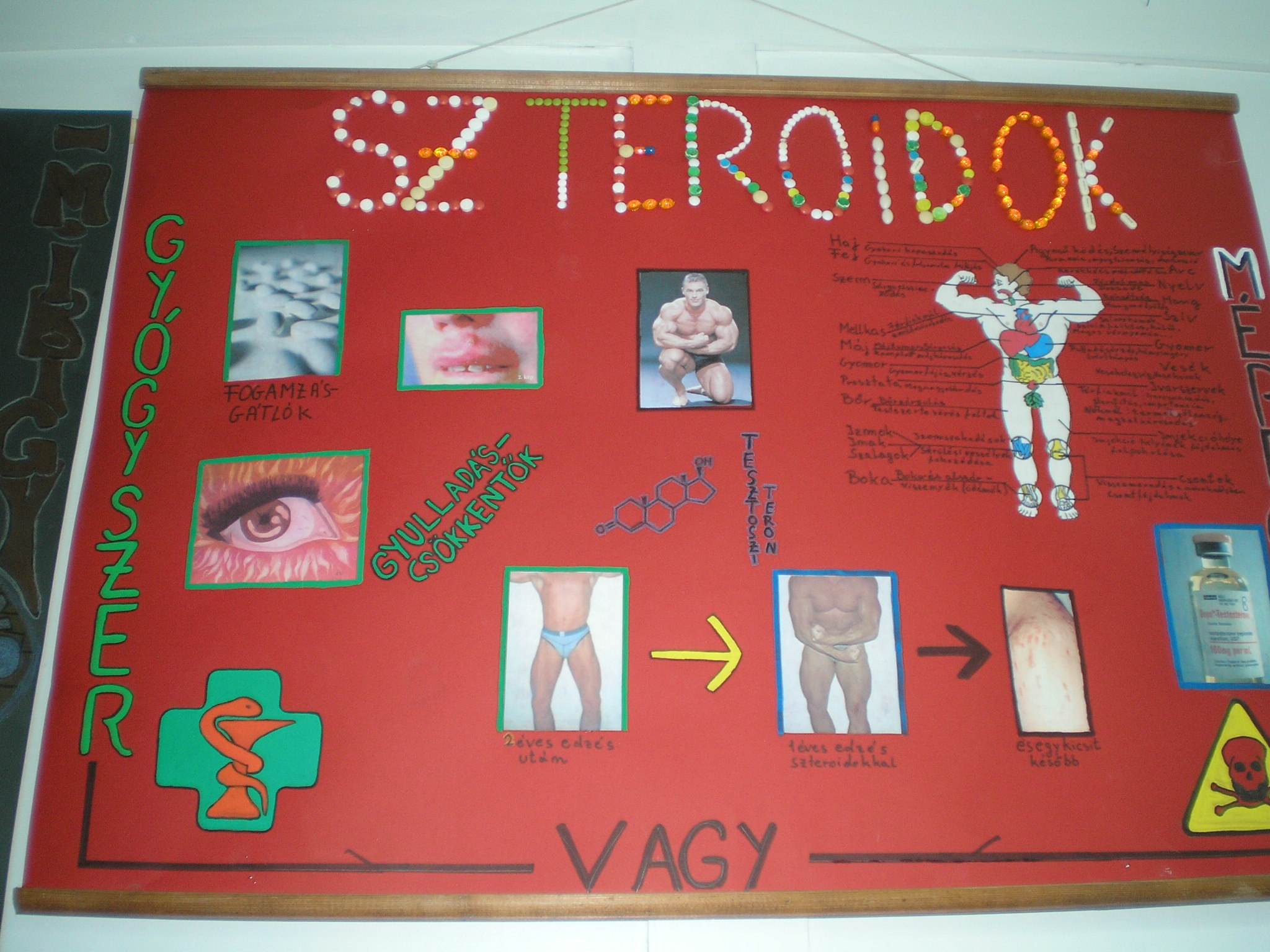 Szteroidok